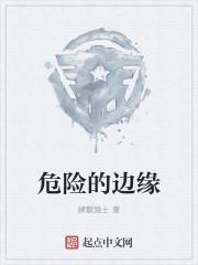 危险的边缘的词语