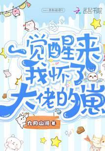 一觉醒来我怀了前男友by无边客