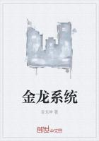 金龙系统金龙空间的