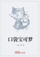 口袋宝可梦变态大全