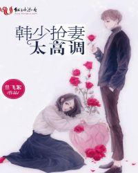 韩少宠妻无度免费阅读