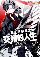 穿越华尔兹网王